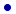 blue dot button